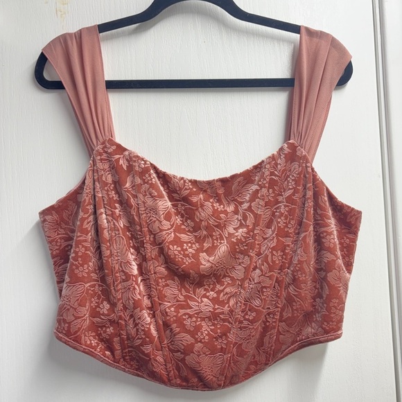 Tops - Altar’d Stare Jasper Dusty Rose Velvet Floral Mauve Blush Corset Crop Top XL